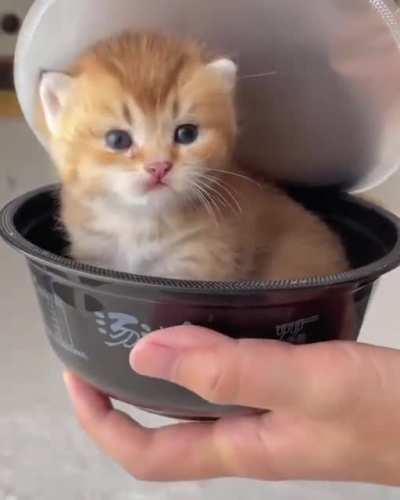 Ramen
