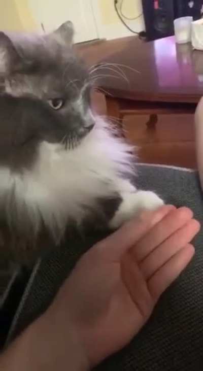 Might I have just one tap please?