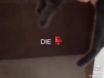 DIE👿