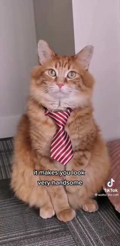 I know i look good.