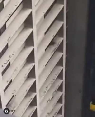 Window Wiper would've done the job easily