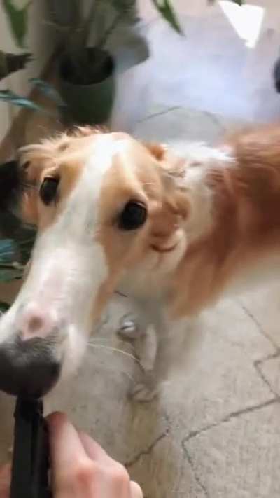 bebam água