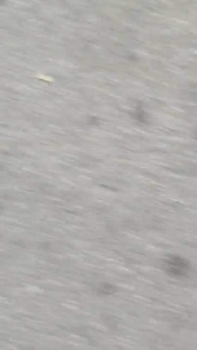 Bike thieve tries to hit me with her longboard - Culver City