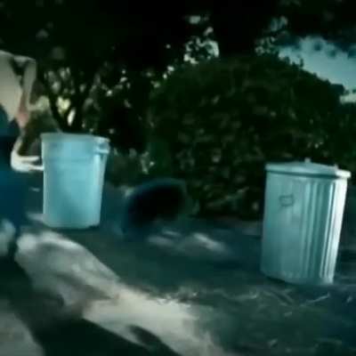 Kids throwing eggs..