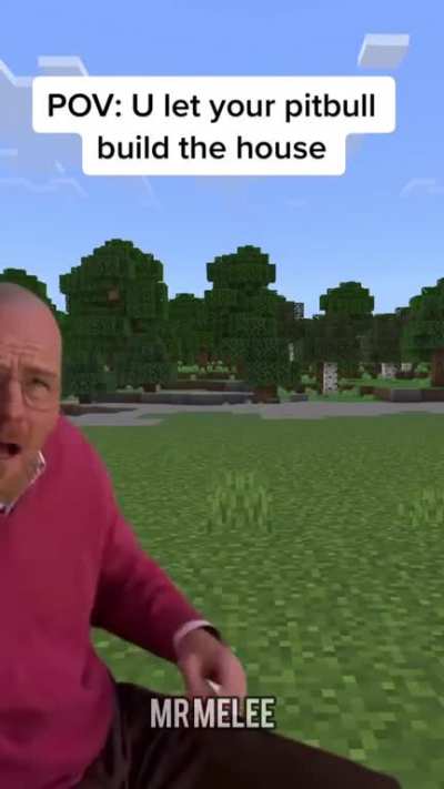 Would you let your pitbull build a house ? This video is from my youtube channel Mr Melee.