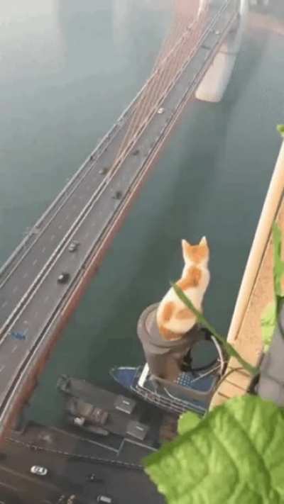 Hmmm