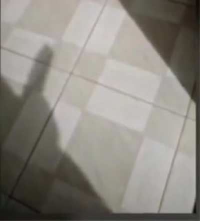dove orignal