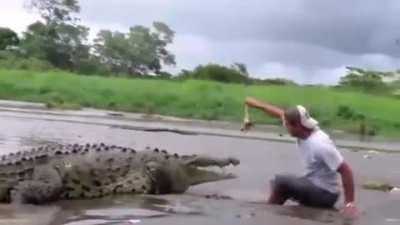 Let's Stand in Quick Sand and Tease the Dinosaur