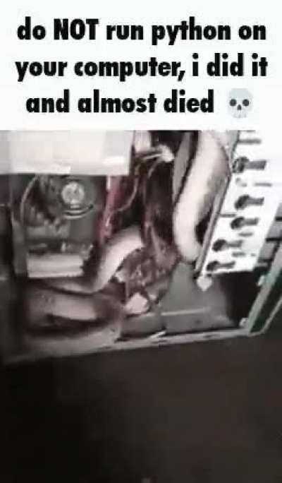 🐍