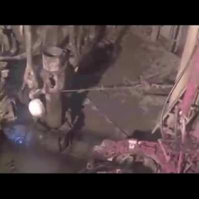 好奇害死猫