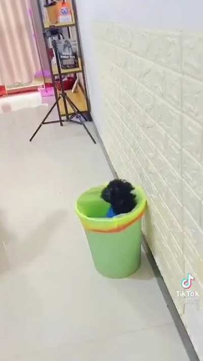 I think the video would better without the 