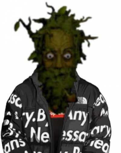 leshy drip