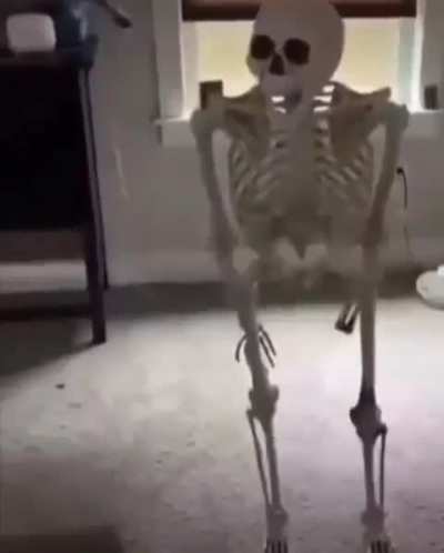 When there is no gay porn 