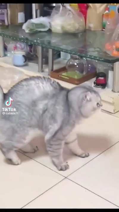AUUUGH