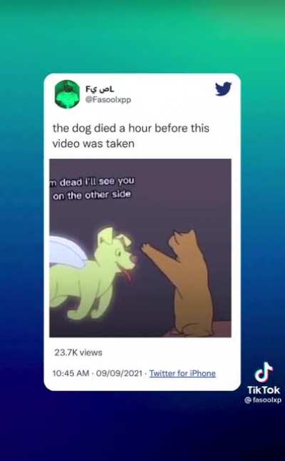 Why You Crying Its Just A Animation| The Animation: