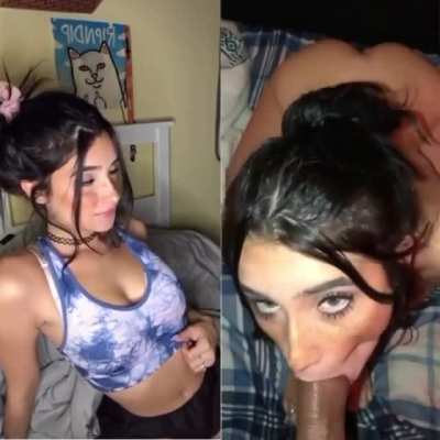 TikTok vs Reddit in a Nutshell