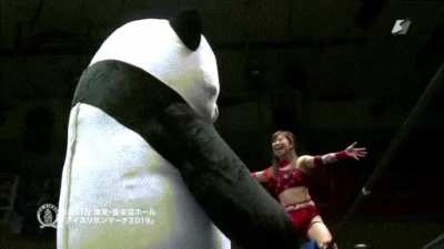 My new favourite spot it wrestling