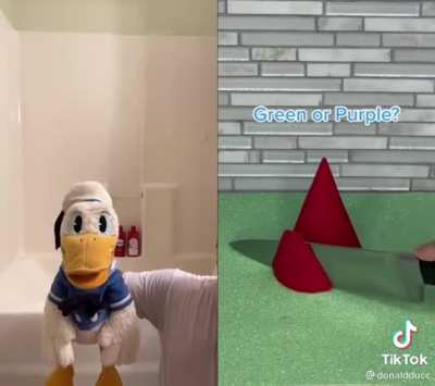 Don’t do this do Donald ducc…