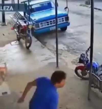 ele voa