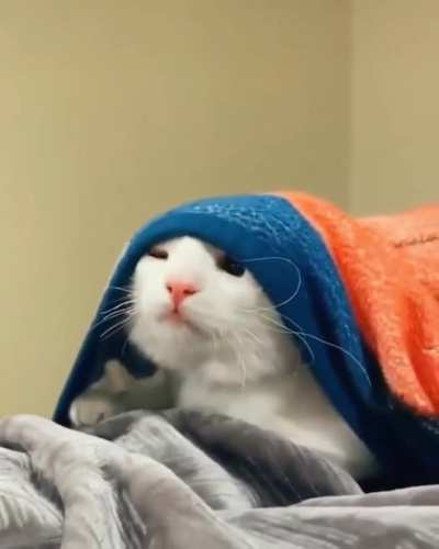 When your alarm didn’t ring & you realize you overslept