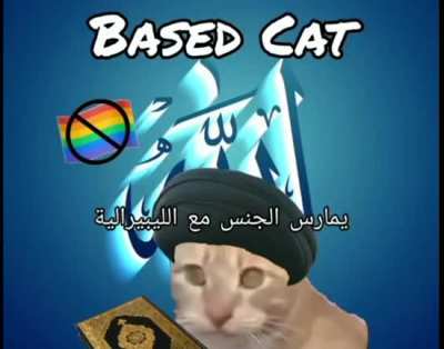 Another based animal destroys cringe whitoid