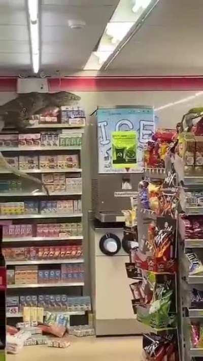 Great. now I have to add dinosaurs to the list of reasons why I’m scared to go into 7Eleven