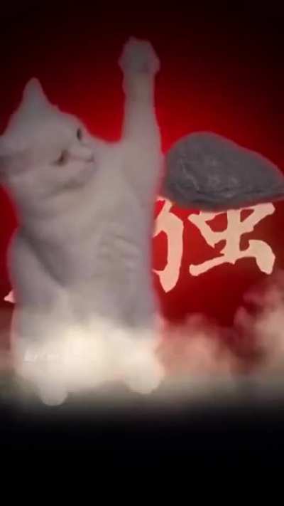 It all changed when the fire cats attacked