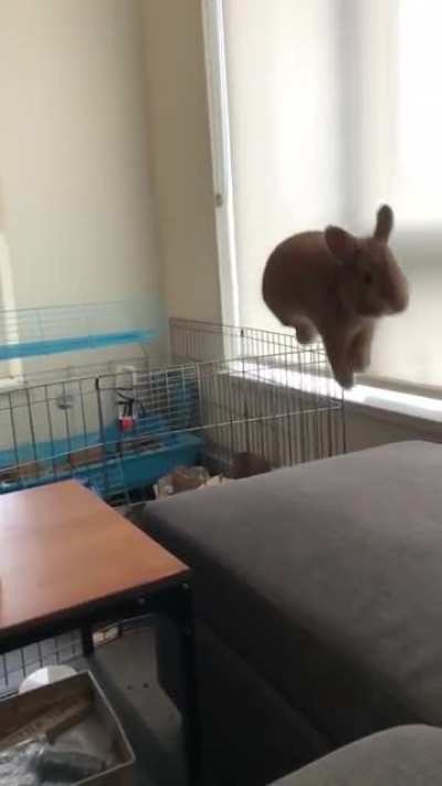 He Escapé