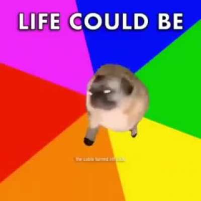 Life is dream for me :D
