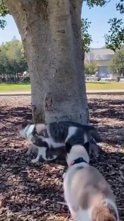 Hold still stupid rope!