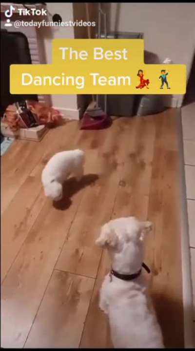 Tango dancing team
