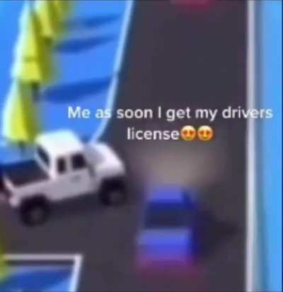 driving rule