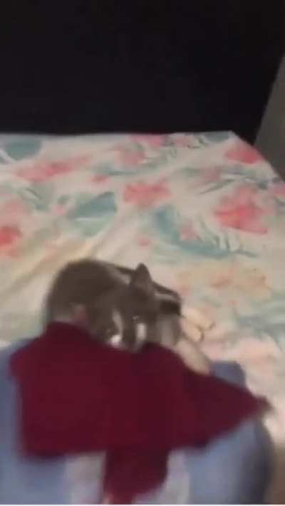 Boy!