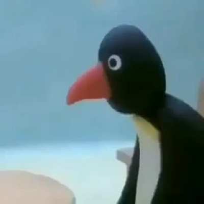 pingu nooo