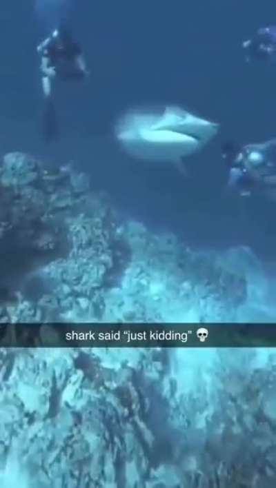 Hah! Gotcha...
