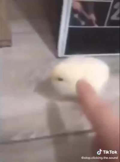 What’s up bro