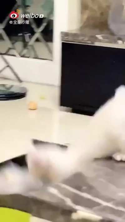 Robbery gone wrong