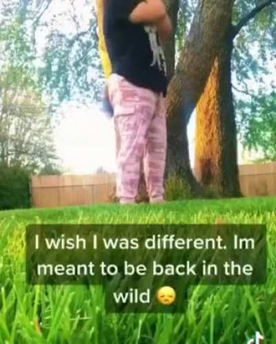 We all want to be free