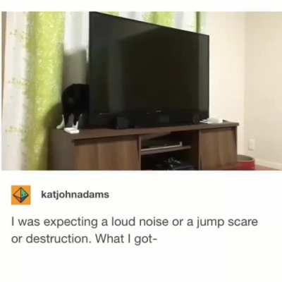 Maybe maybe maybe