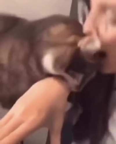 2 kinds of cat people