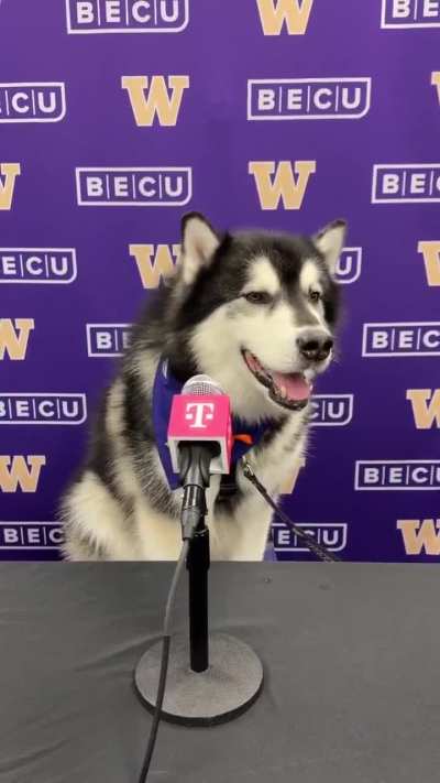 I wasn’t a fan of some of his calls but I 100% agree with the general direction bro thinks the team should be going in.