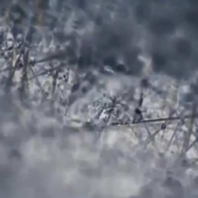 super zoom. pa upvote