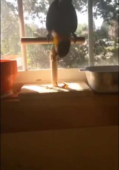 Wait for it