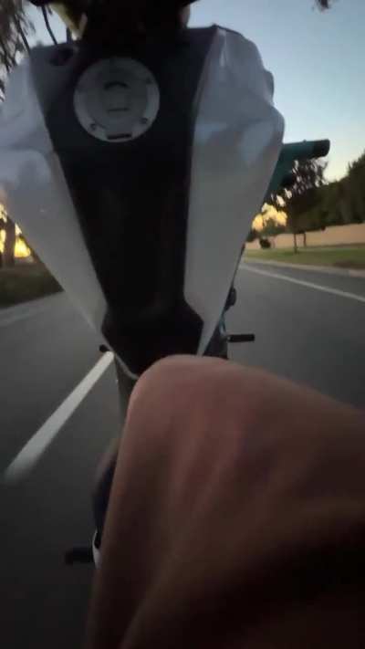 weiner pov