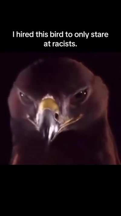 Do not move 