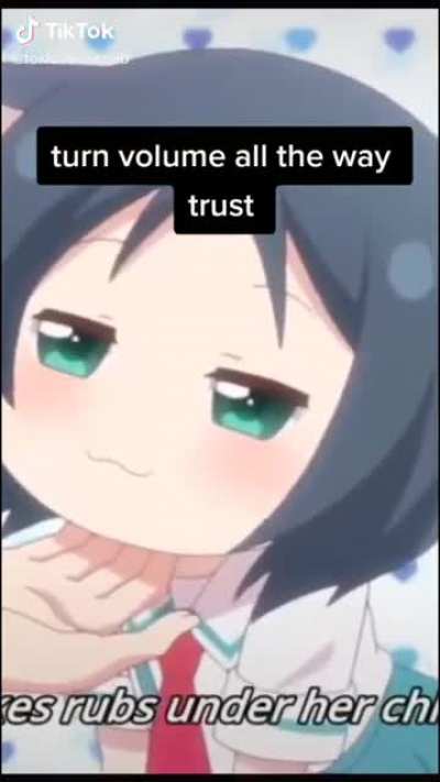 Names for the two animes?