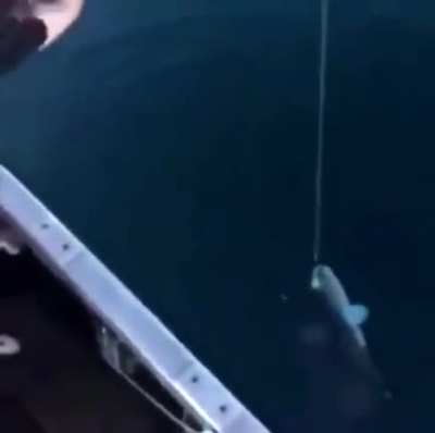fische
