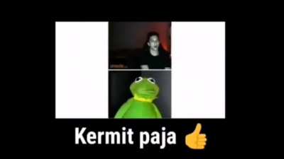 Nooo Kermit