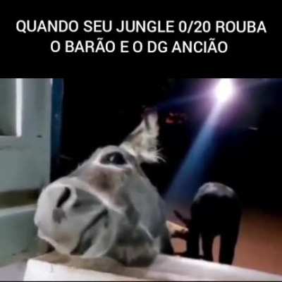 muca jogando lol