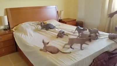 We Can halp!..